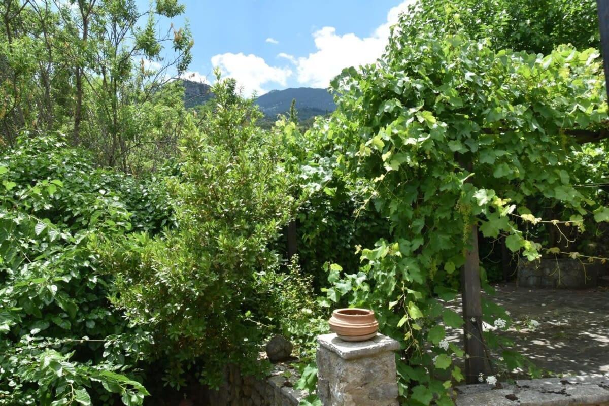 Mariolata Vintage Stone Villa - 4 Season Escape Bagian luar foto